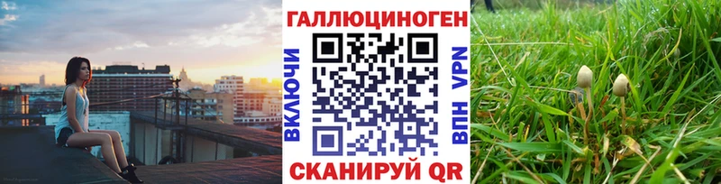 Псилоцибиновые грибы ЛСД  Котельники 