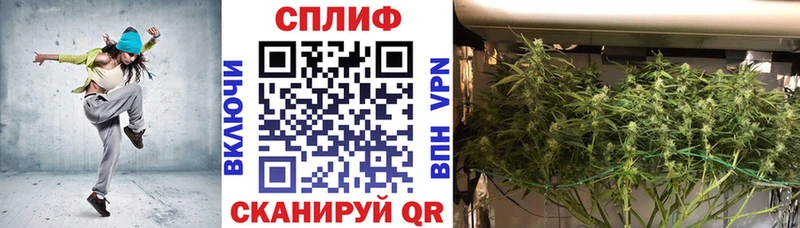 Каннабис план  как найти закладки  Котельники 